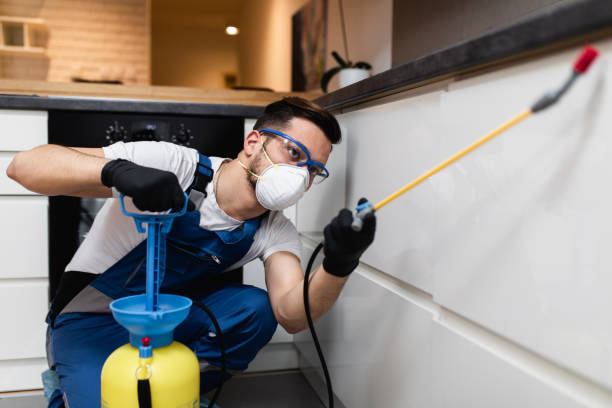 Best Pest Control for Homes  in Sea Cliff, NY