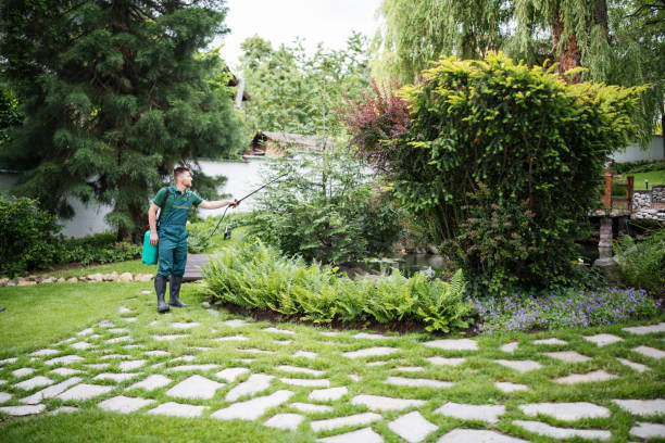 Best Affordable Pest Control Services  in Sea Cliff, NY