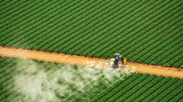 Best Mosquito Control Services  in Sea Cliff, NY