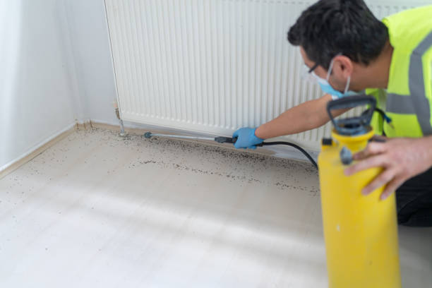 Best Rat Extermination Near Me  in Sea Cliff, NY
