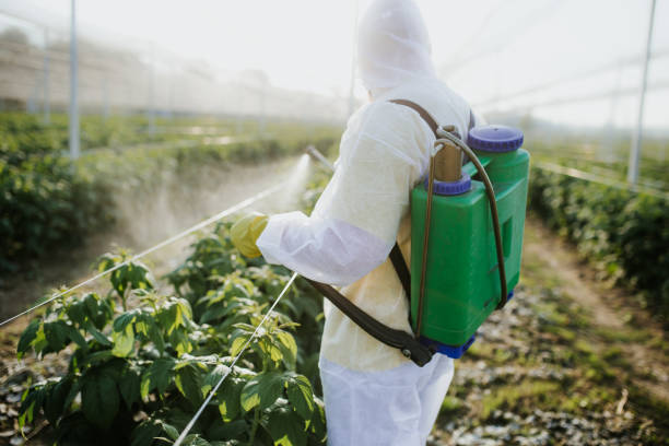 Best Pest Control for Businesses  in Sea Cliff, NY